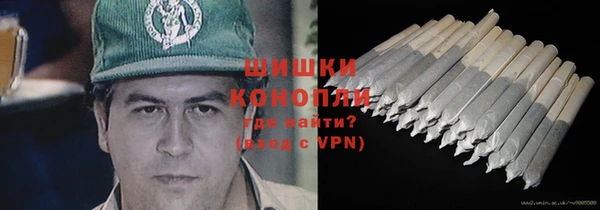 стаф Тихвин