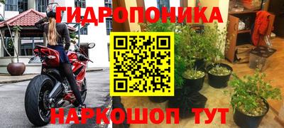 MESCALINE Камышлов