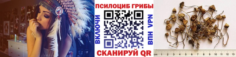 KRAKEN ONION  Волгодонск  Псилоцибиновые грибы мицелий 