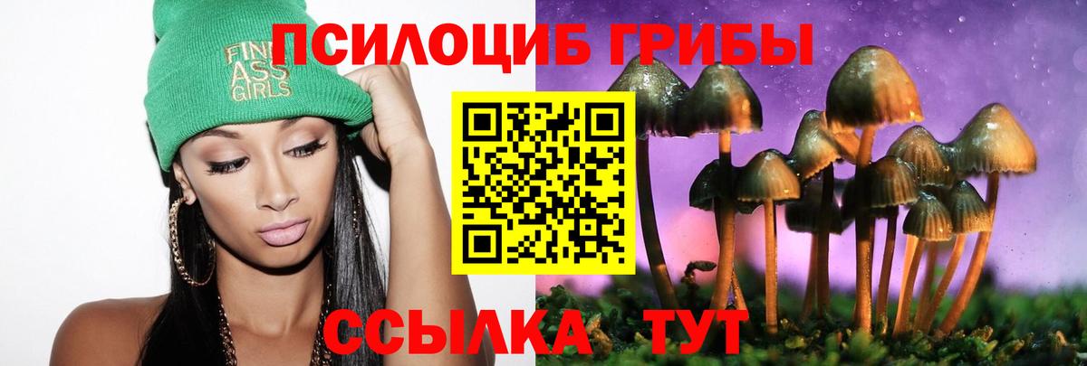 Галлюциногенные грибы MAGIC MUSHROOMS  Вход с VPN  Волгодонск  Галлюциногенные грибы мицелий 